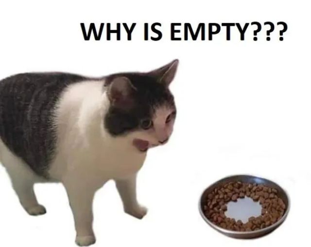 Memes With Cats (20 pics)