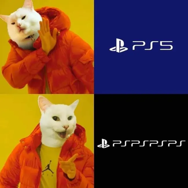 Memes With Cats (20 pics)