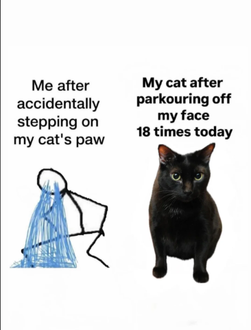 Memes With Cats (20 pics)