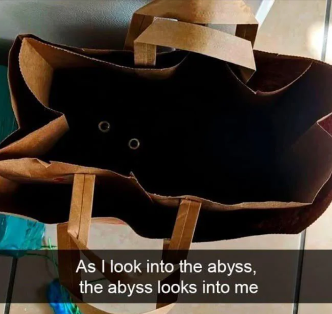 Memes With Cats (20 pics)