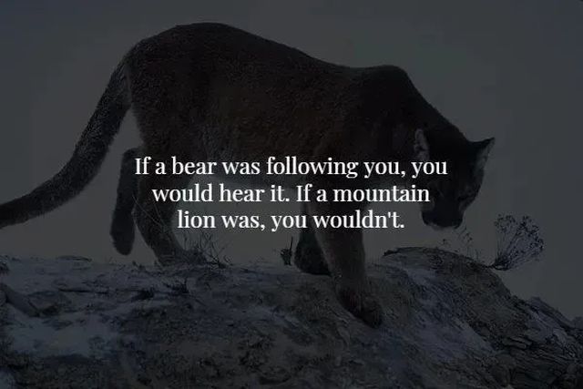 Creepy Facts (15 pics)