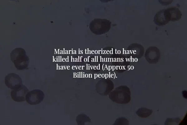 Creepy Facts (15 pics)