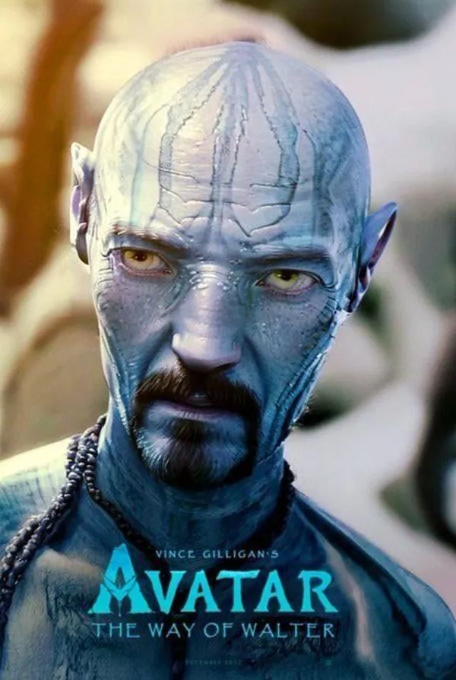 Alternative Movie Posters (25 pics)