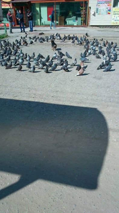 Unfortunate Situations (23 pics)