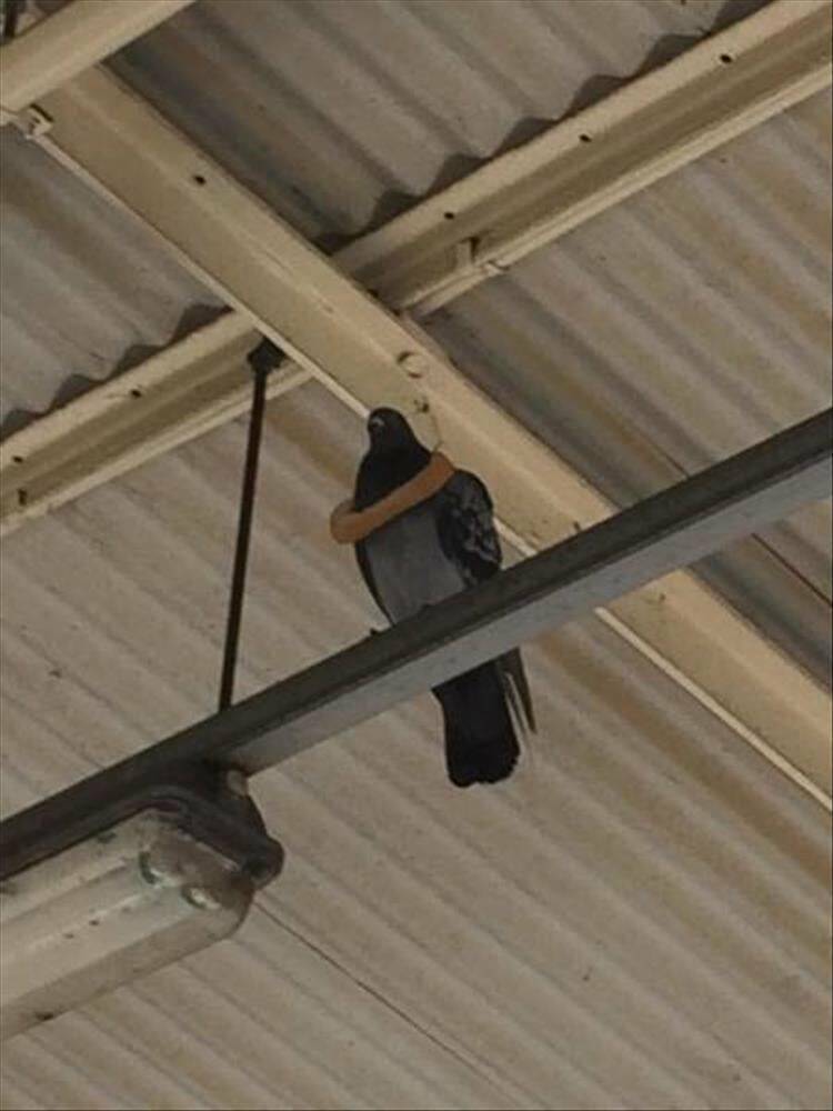 Daily Pictures. Part 1 (73 pics)