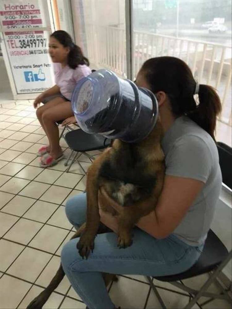 Daily Pictures. Part 1 (73 pics)