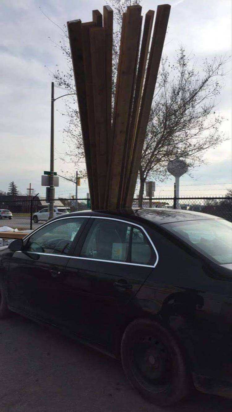 Daily Pictures. Part 1 (73 pics)