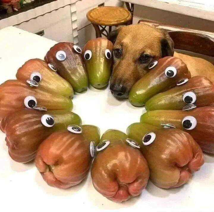 Daily Pictures. Part 1 (73 pics)