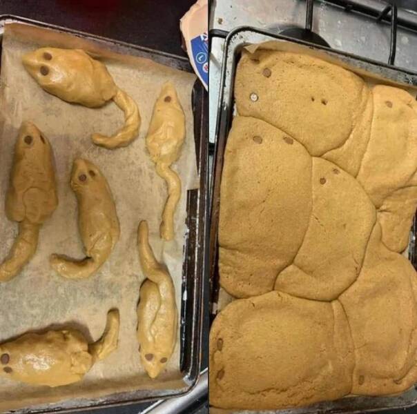 Daily Pictures. Part 1 (73 pics)