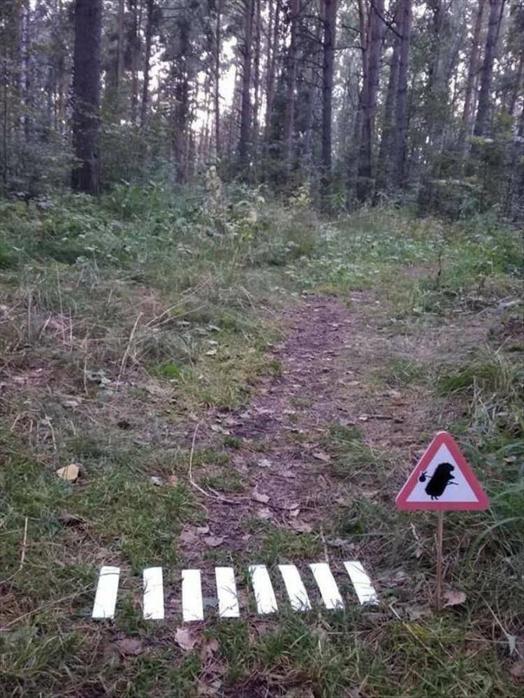 Daily Pictures. Part 1 (73 pics)