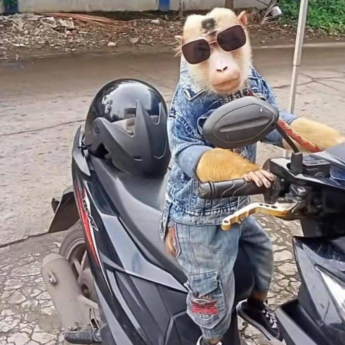 Daily Pictures. Part 1 (73 pics)