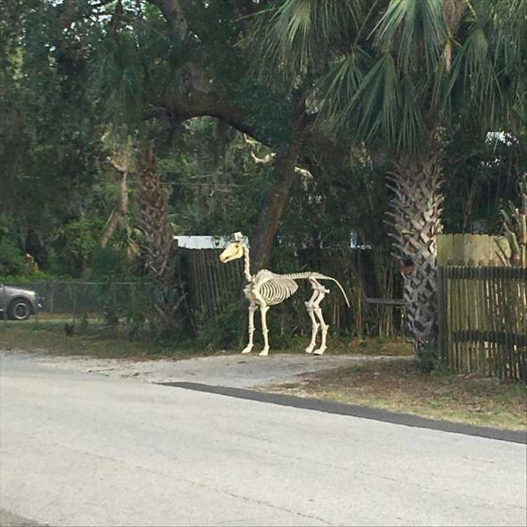 Daily Pictures. Part 1 (73 pics)