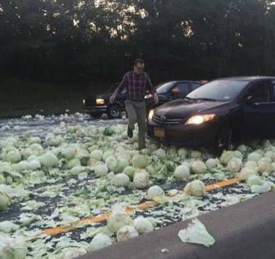 Daily Pictures. Part 1 (73 pics)