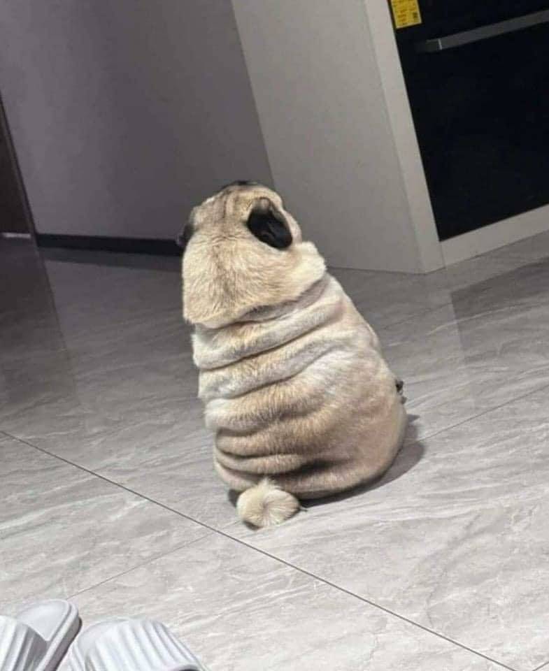 Daily Pictures. Part 1 (73 pics)