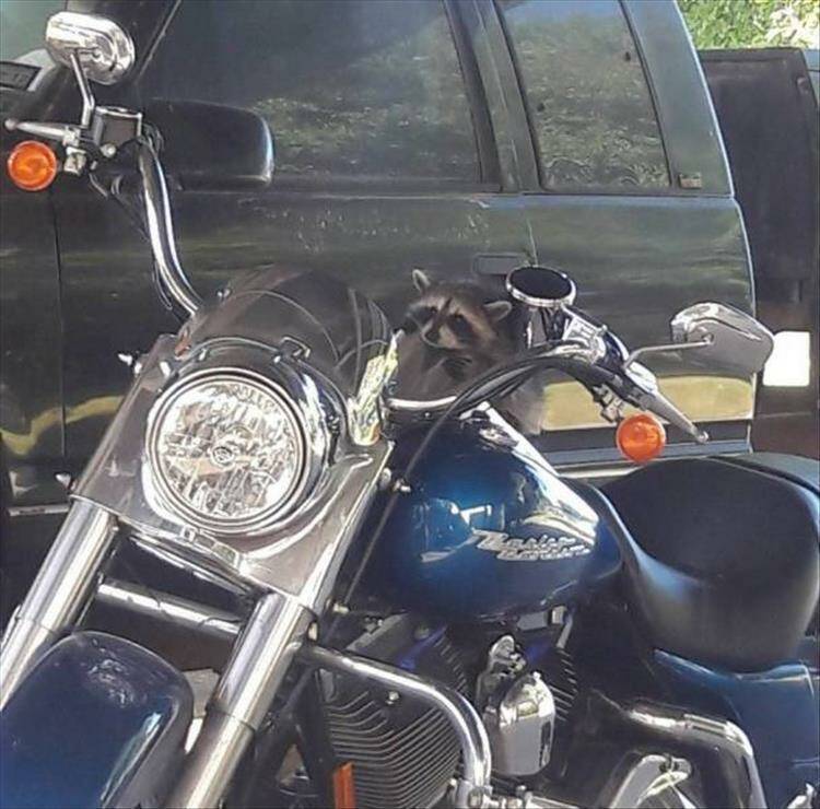 Daily Pictures. Part 1 (73 pics)