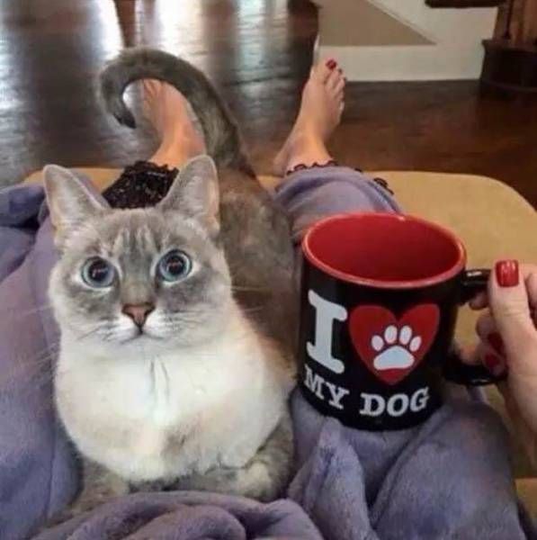 Daily Pictures. Part 1 (73 pics)