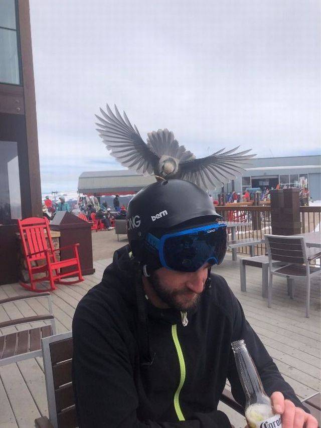 Daily Pictures. Part 2 (72 pics)