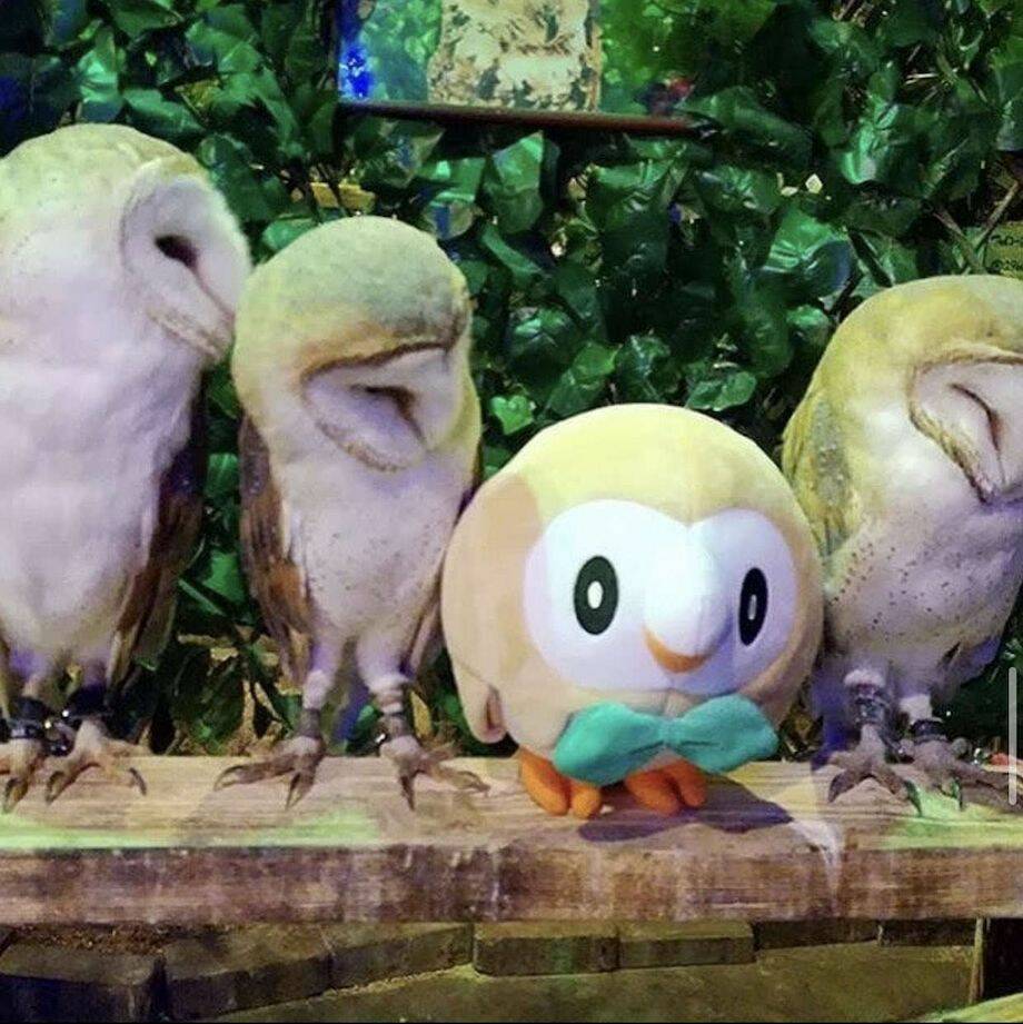 Daily Pictures. Part 1 (73 pics)