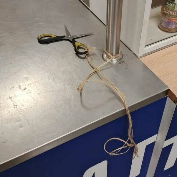 Daily Pictures. Part 1 (73 pics)