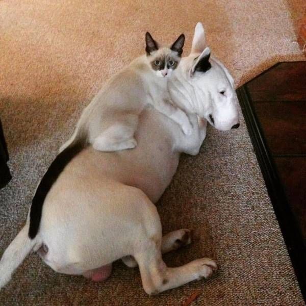 Daily Pictures. Part 1 (73 pics)