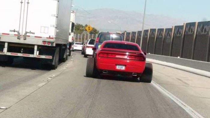 Daily Pictures. Part 1 (73 pics)