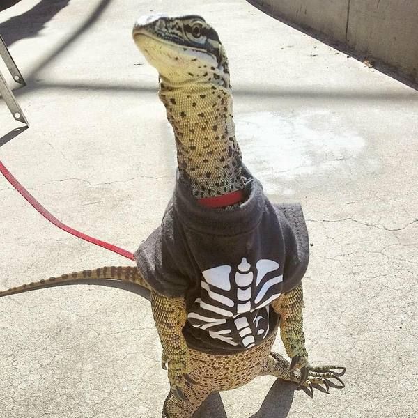 Daily Pictures. Part 1 (73 pics)