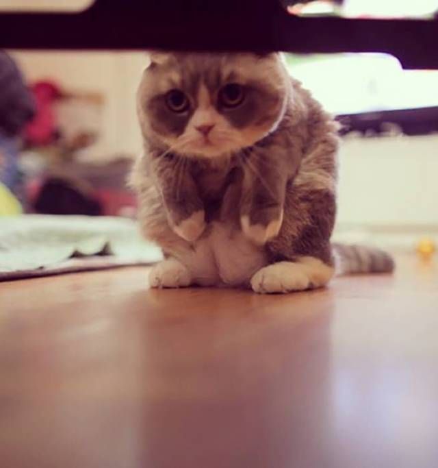 Daily Pictures. Part 2 (72 pics)