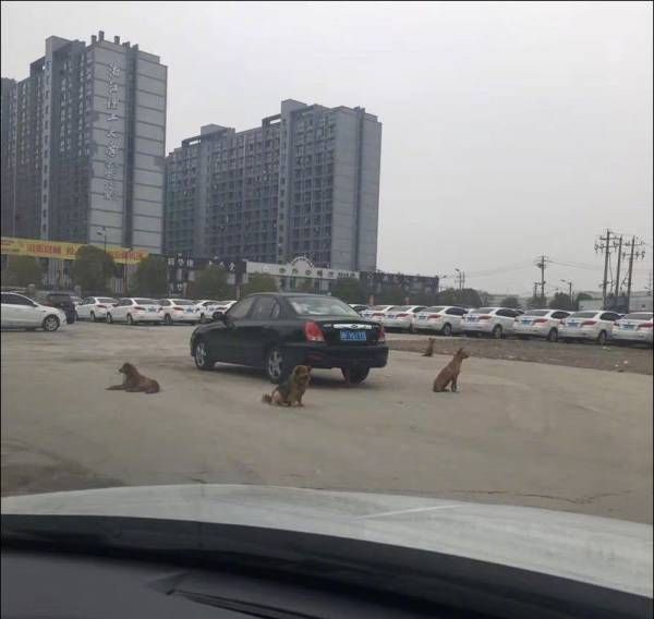 Daily Pictures. Part 1 (73 pics)