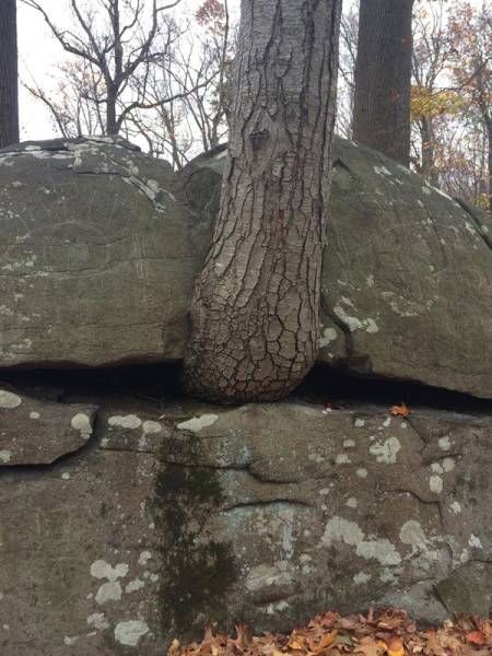 Daily Pictures. Part 1 (73 pics)