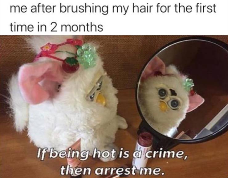 Daily Pictures. Part 2 (72 pics)