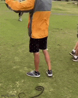 Acid GIFs, March 25 (25 gifs)