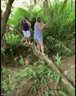 Acid GIFs, March 25 (25 gifs)