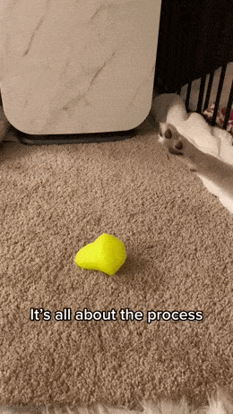 Acid GIFs, March 25 (25 gifs)