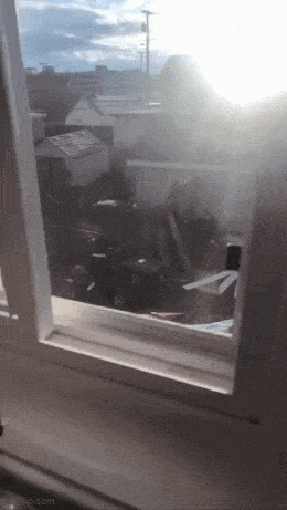 Acid GIFs, March 25 (25 gifs)