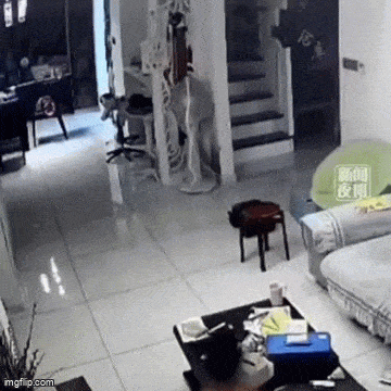 Acid GIFs, March 25 (25 gifs)