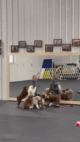 Acid GIFs, March 25 (25 gifs)