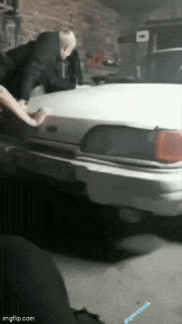 Acid GIFs, March 25 (25 gifs)