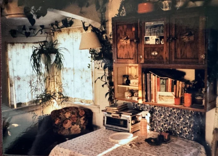 Very Cozy Kitchens (21 pics)