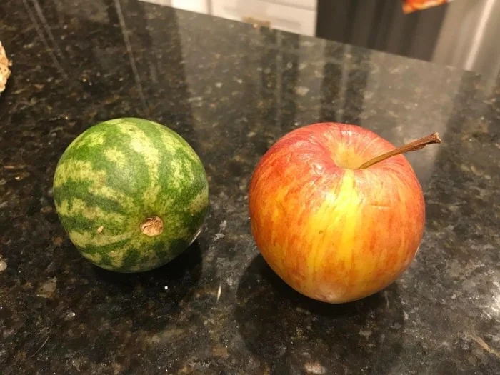 Little Things (18 pics)