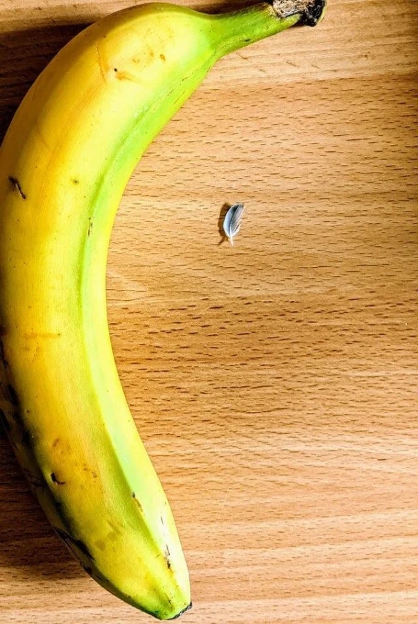 Little Things (18 pics)