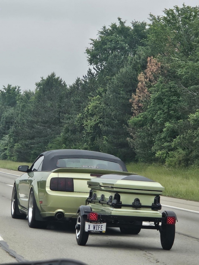 Weird Designs (25 pics)