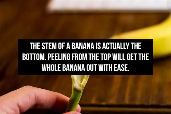 Useful Lifehacks (22 pics)