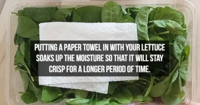 Useful Lifehacks (22 pics)