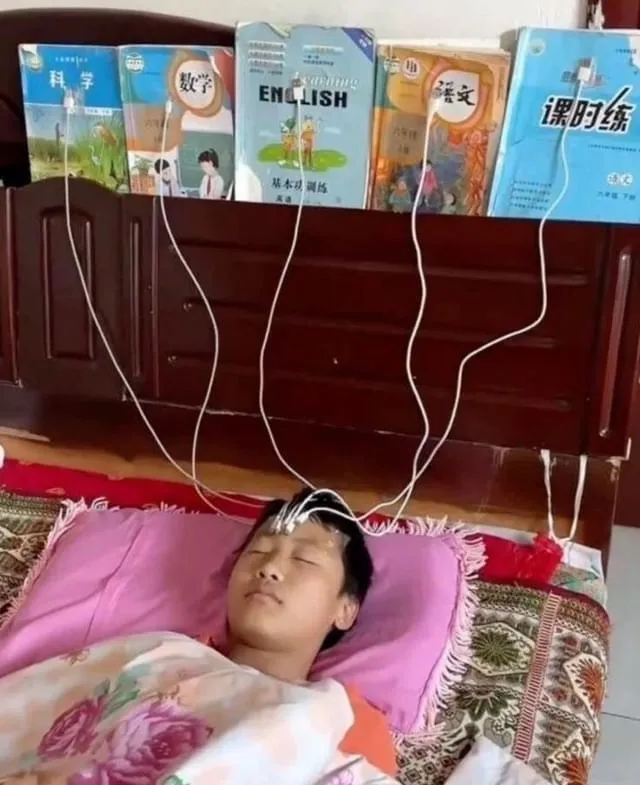 What Is Going On Here? (21 pics)