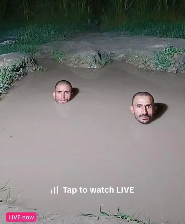 What Is Going On Here? (21 pics)