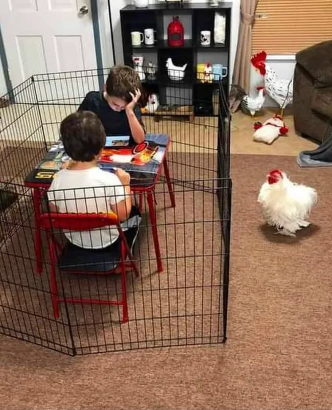 What Is Going On Here? (21 pics)