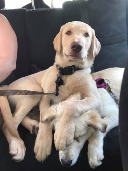 Daily Pictures. Part 1 (69 pics)