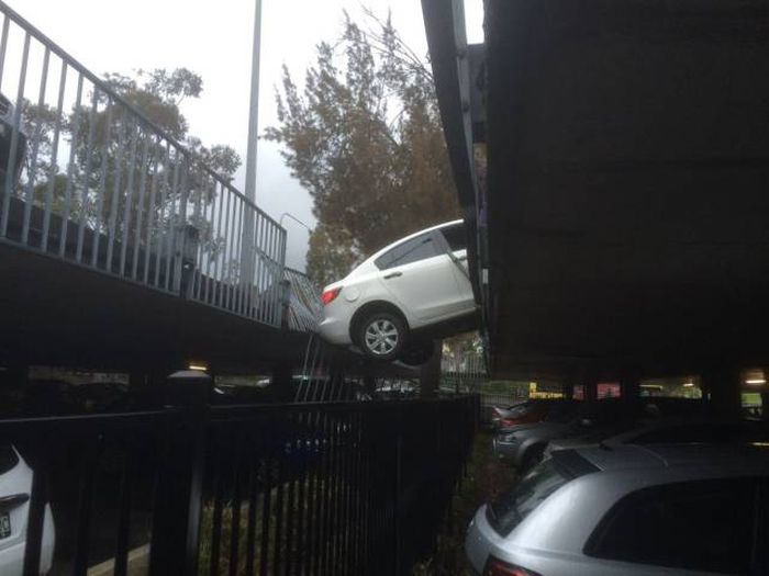 Daily Pictures. Part 1 (69 pics)