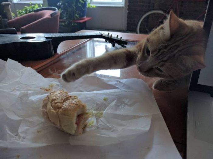 Daily Pictures. Part 1 (69 pics)