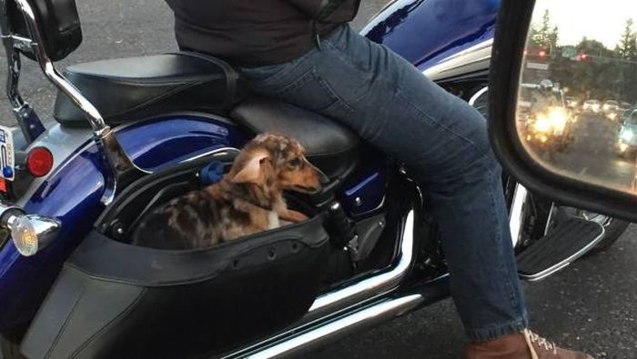 Daily Pictures. Part 1 (69 pics)